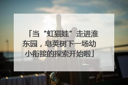 当“虹猫娃”走进淮东园，皂荚树下一场幼小衔接的探索开始啦