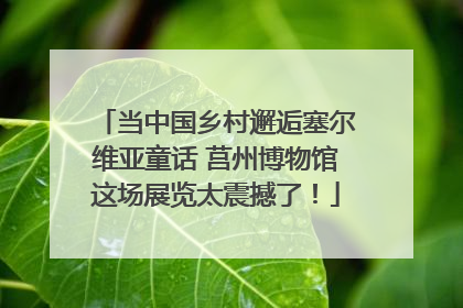 当中国乡村邂逅塞尔维亚童话 莒州博物馆这场展览太震撼了！
