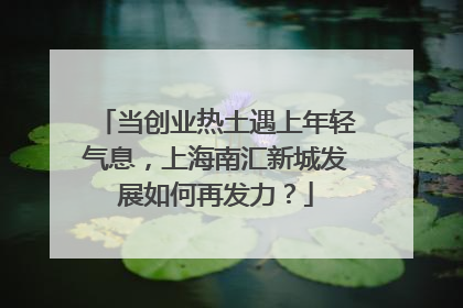 当创业热土遇上年轻气息，上海南汇新城发展如何再发力？