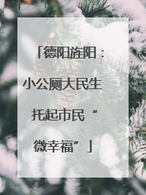 德阳旌阳：小公厕大民生 托起市民“微幸福”