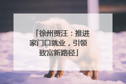 徐州贾汪：推进家门口就业，引领致富新路径