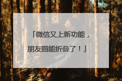 微信又上新功能，朋友圈能折叠了！