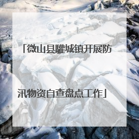 微山县驩城镇开展防汛物资自查盘点工作