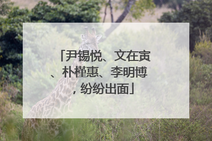 尹锡悦、文在寅、朴槿惠、李明博，纷纷出面