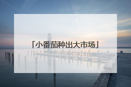 小番茄种出大市场