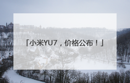 小米YU7，价格公布！
