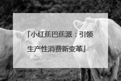 小红蕉巴蕉派：引领生产性消费新变革