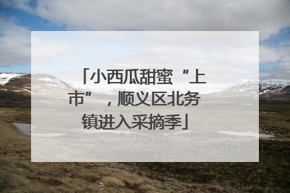 小西瓜甜蜜“上市”，顺义区北务镇进入采摘季