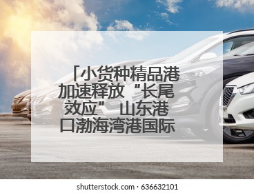 小货种精品港加速释放“长尾效应” 山东港口渤海湾港国际件杂货运业务