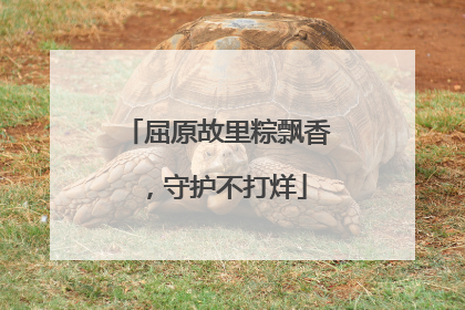 屈原故里粽飘香，守护不打烊