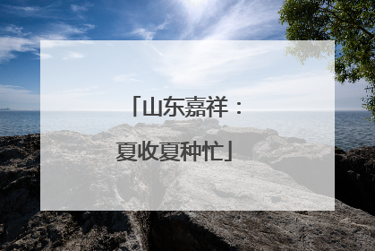 山东嘉祥：夏收夏种忙