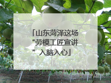 山东菏泽这场“劳模工匠宣讲”入脑入心