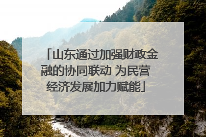 山东通过加强财政金融的协同联动 为民营经济发展加力赋能
