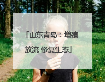 山东青岛：增殖放流 修复生态