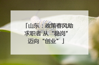 山东：政策春风助求职者 从“稳岗”迈向“创业”