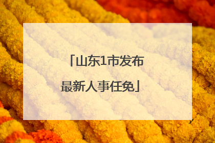 山东1市发布最新人事任免