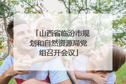 山西省临汾市规划和自然资源局党组召开会议