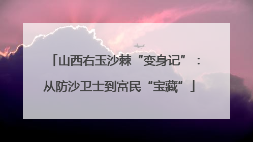 山西右玉沙棘“变身记”：从防沙卫士到富民“宝藏”