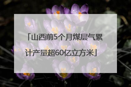 山西前5个月煤层气累计产量超60亿立方米