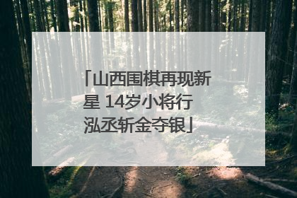 山西围棋再现新星 14岁小将行泓丞斩金夺银