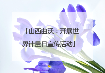 山西曲沃：开展世界计量日宣传活动