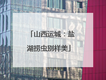 山西运城：盐湖捞虫别样美