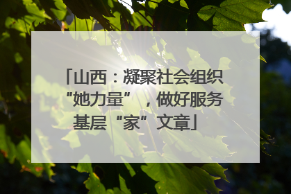 山西：凝聚社会组织“她力量”，做好服务基层“家”文章