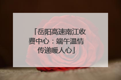 岳阳高速南江收费中心：端午温情传递暖人心
