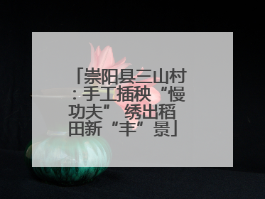 崇阳县三山村：手工插秧“慢功夫” 绣出稻田新“丰”景