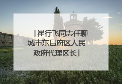崔行飞同志任聊城市东昌府区人民政府代理区长