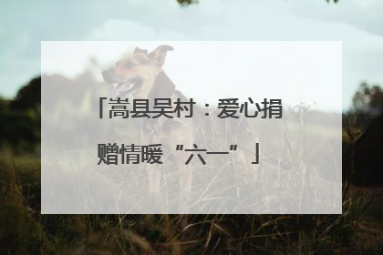 嵩县吴村：爱心捐赠情暖“六一”