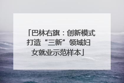 巴林右旗：创新模式 打造“三新”领域妇女就业示范样本