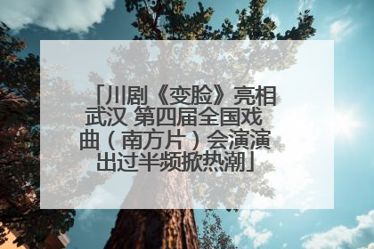 川剧《变脸》亮相武汉 第四届全国戏曲（南方片）会演演出过半频掀热潮