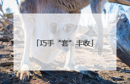 巧手“套”丰收