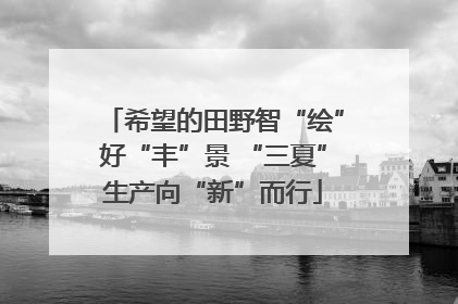 希望的田野智“绘”好“丰”景 “三夏”生产向“新”而行