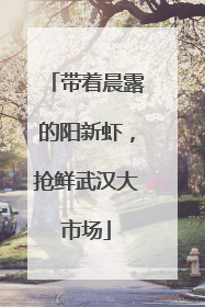 带着晨露的阳新虾，抢鲜武汉大市场