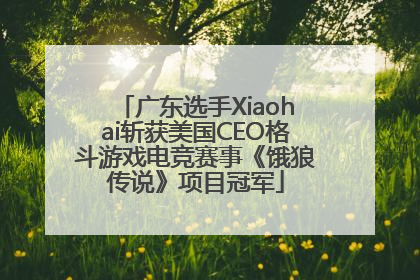 广东选手Xiaohai斩获美国CEO格斗游戏电竞赛事《饿狼传说》项目冠军