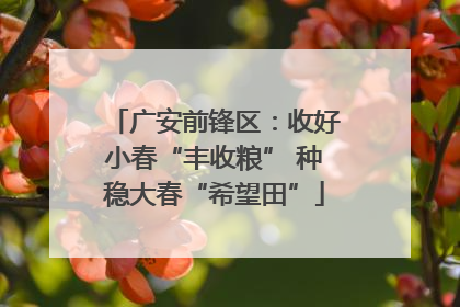 广安前锋区：收好小春“丰收粮” 种稳大春“希望田”