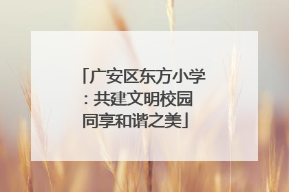 广安区东方小学：共建文明校园 同享和谐之美