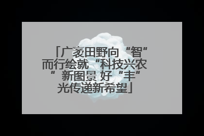 广袤田野向“智”而行绘就“科技兴农”新图景 好“丰”光传递新希望