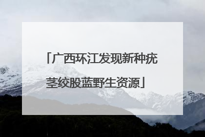 广西环江发现新种疣茎绞股蓝野生资源