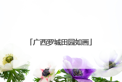 广西罗城田园如画