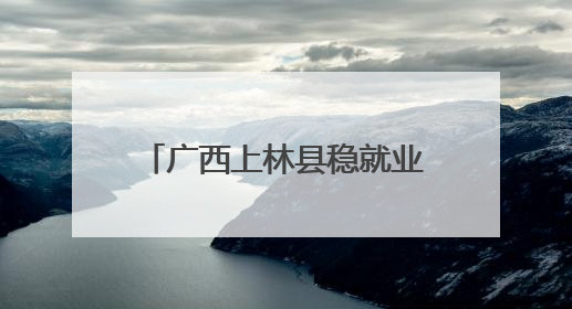 广西上林县稳就业十条措施破解“招工难”和“就业难”