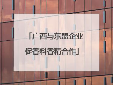 广西与东盟企业促香料香精合作