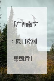 广西南宁：夏日路树果飘香