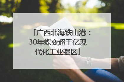 广西北海铁山港：30年蝶变超千亿现代化工业强区