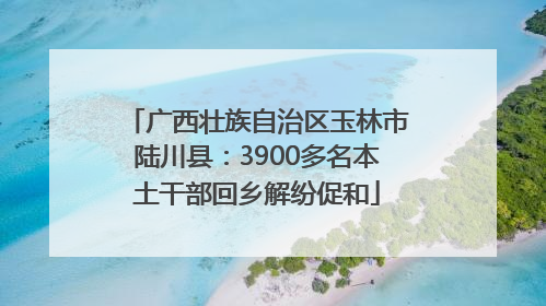 广西壮族自治区玉林市陆川县：3900多名本土干部回乡解纷促和