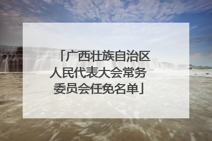 广西壮族自治区人民代表大会常务委员会任免名单