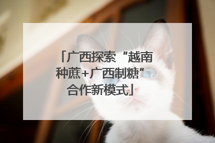 广西探索“越南种蔗+广西制糖”合作新模式