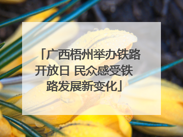 广西梧州举办铁路开放日 民众感受铁路发展新变化